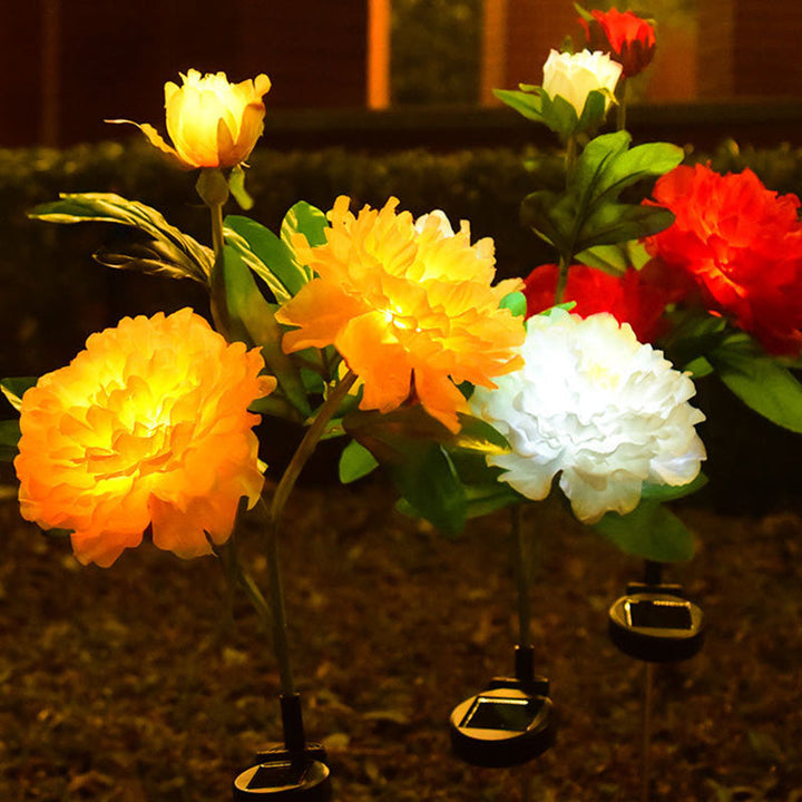 Contemporary Creative Solar Peony Flower LED Waterproof Lawn Landscape Insert Light For Outdoor Patio | Kalsten