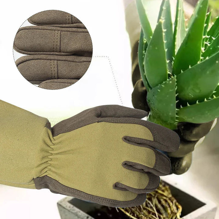 ThornGuard — Protect your hands to love every rose painlessly | Kalsten
