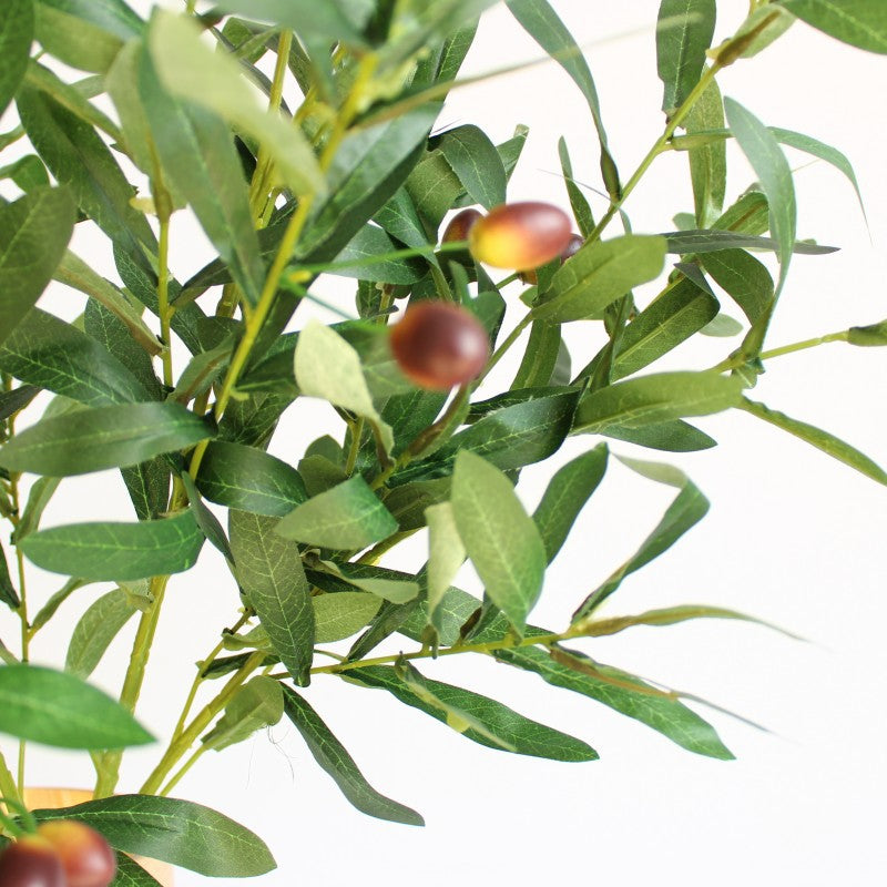 Decorative Olive Branch Arrangement