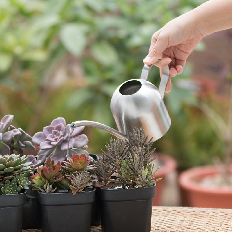 Premium Stainless Steel Watering Can