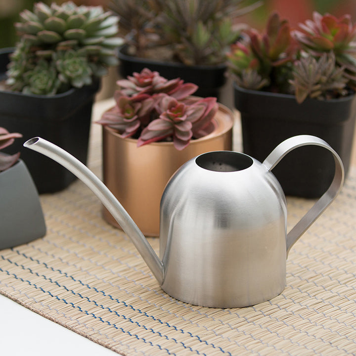 Premium Stainless Steel Watering Can
