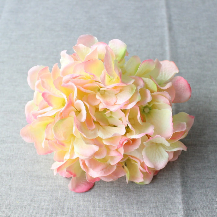 Lush Decorative Hydrangea Blossom