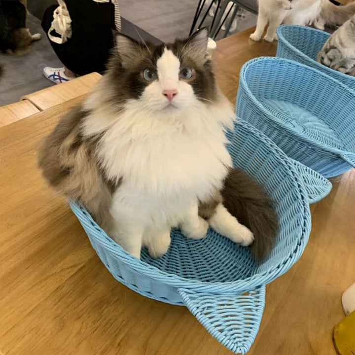 Cat Ear Woven Storage Basket Kalsten