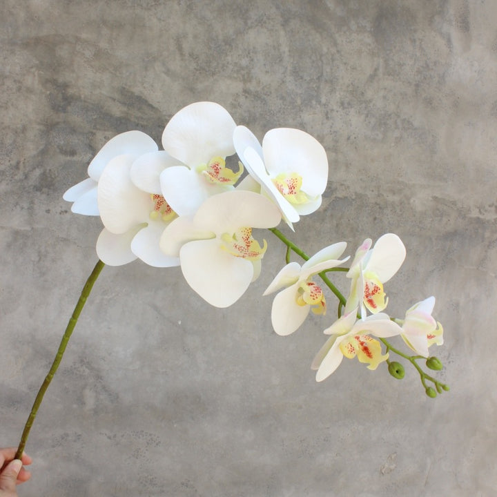 Decorative Blooming Orchid Stem