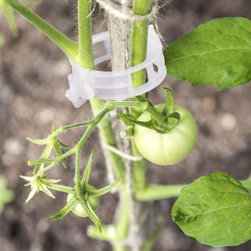 Practical Plant Support Clip | Kalsten