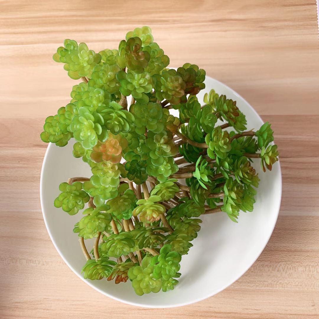 Lifelike Succulent Plant