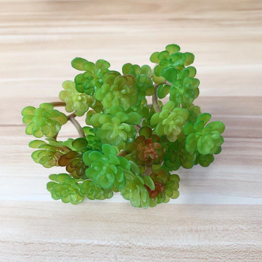 Lifelike Succulent Plant