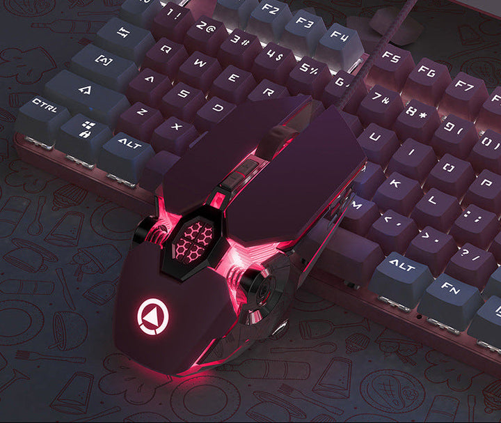 Wireless Gaming Mouse Kalsten