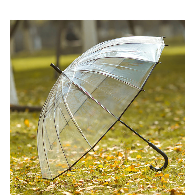 Ladies Transparent Umbrella with Non-Slip Handle and Wind Resistance Kalsten