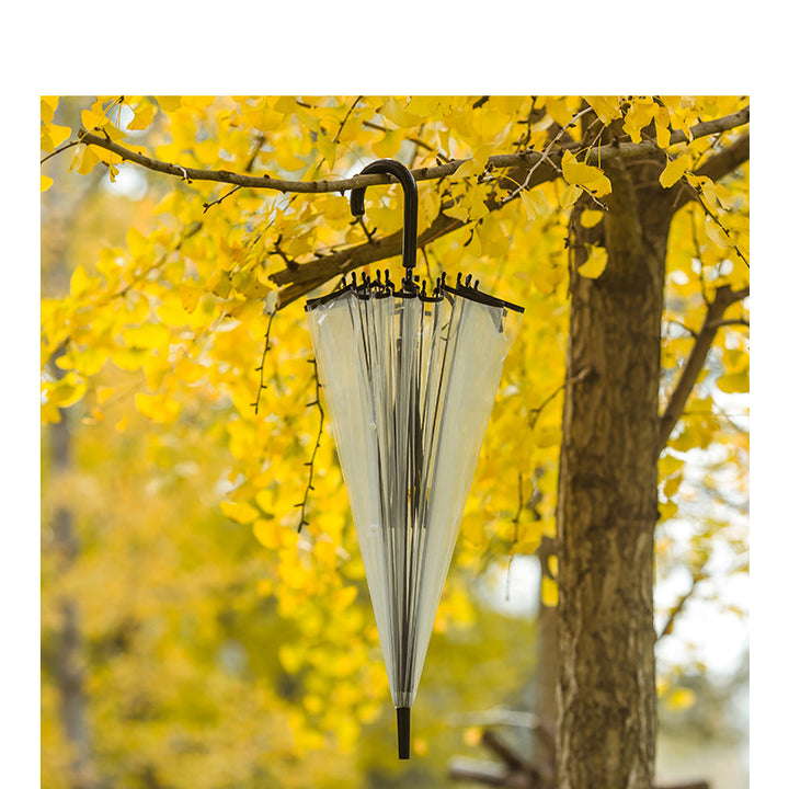 Women's transparent umbrella with stylish design Kalsten