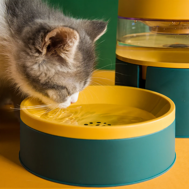 Double bowl for cats, non-slip, food and water