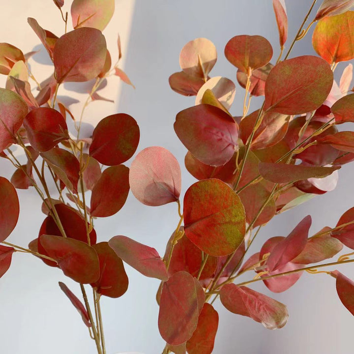 Decorative Eucalyptus Stem