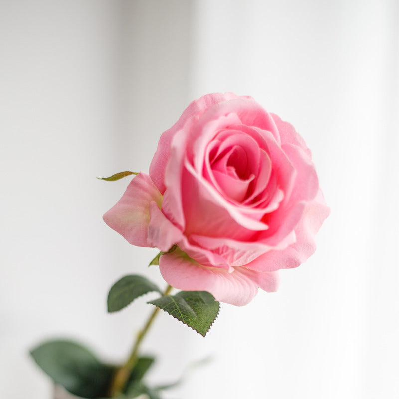 Artificial Rose