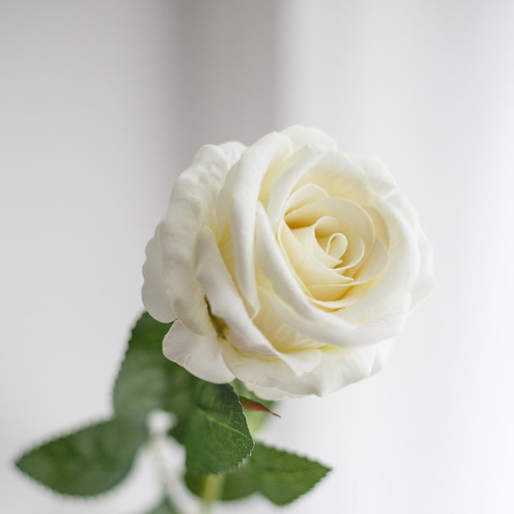 Artificial Rose