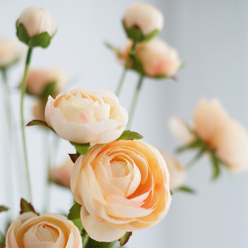 Realistic Peony Flower Stem