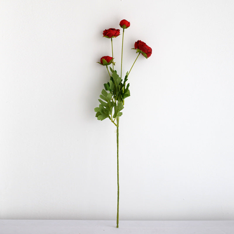 Realistic Peony Flower Stem