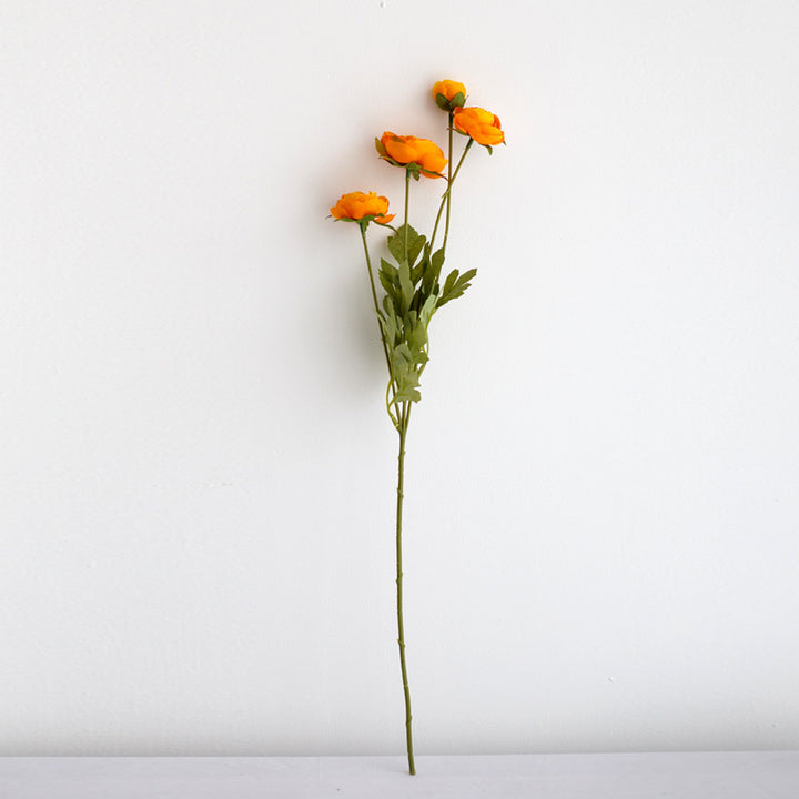 Realistic Peony Flower Stem