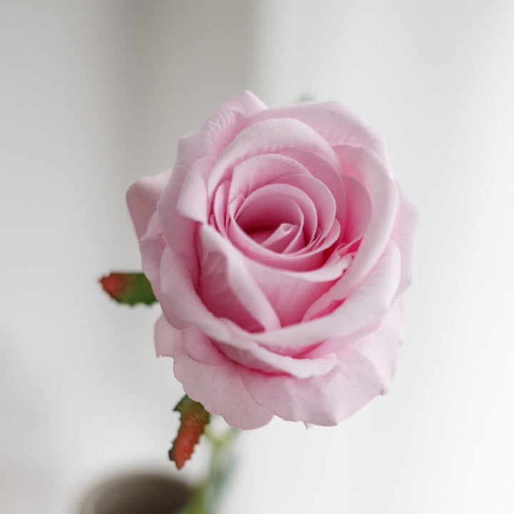 Artificial Rose