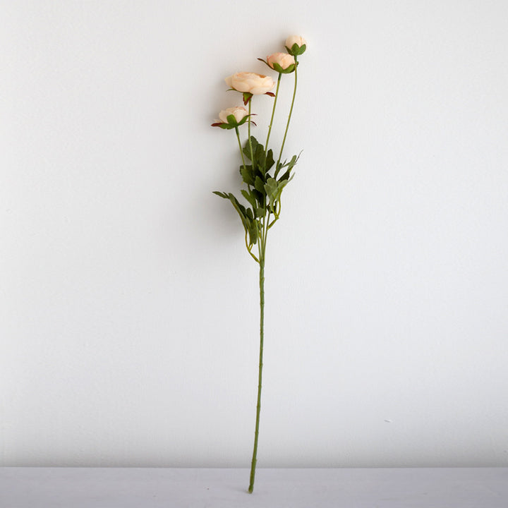 Realistic Peony Flower Stem