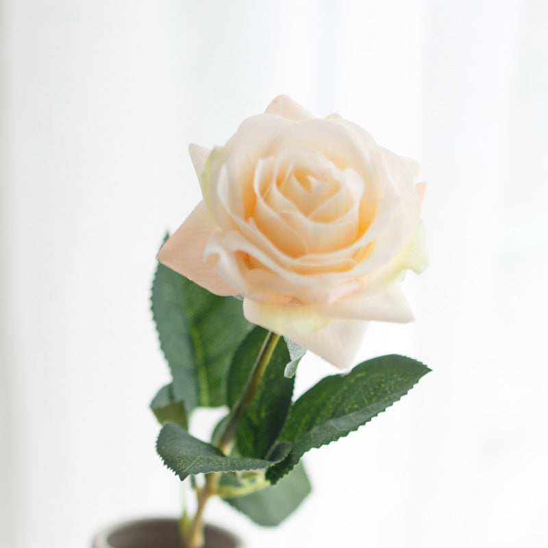 Realistic Synthetic Rose Stem