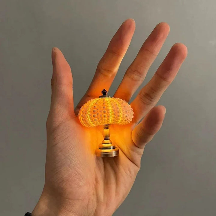 Kalsten | LumiCraft – Unique DIY table lamp with natural sea shell for a cozy décor
