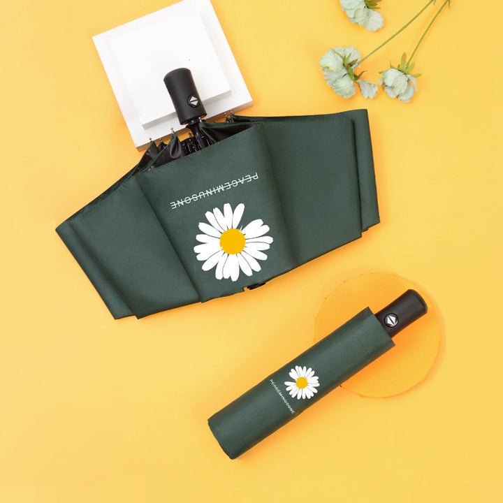 Women's Umbrella Kalsten