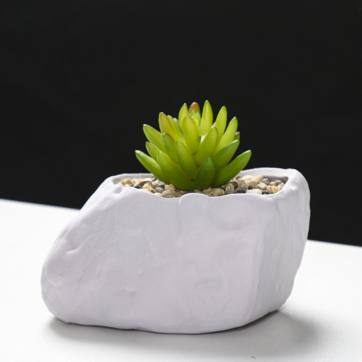 Creative Stone-Shaped Succulent Planter Kalsten