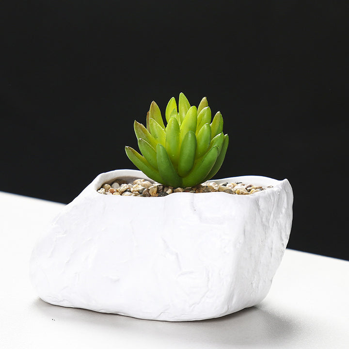Creative Stone-Shaped Succulent Planter Kalsten