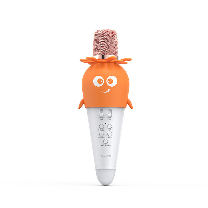 Children's Fun Cartoon Microphone Kalsten