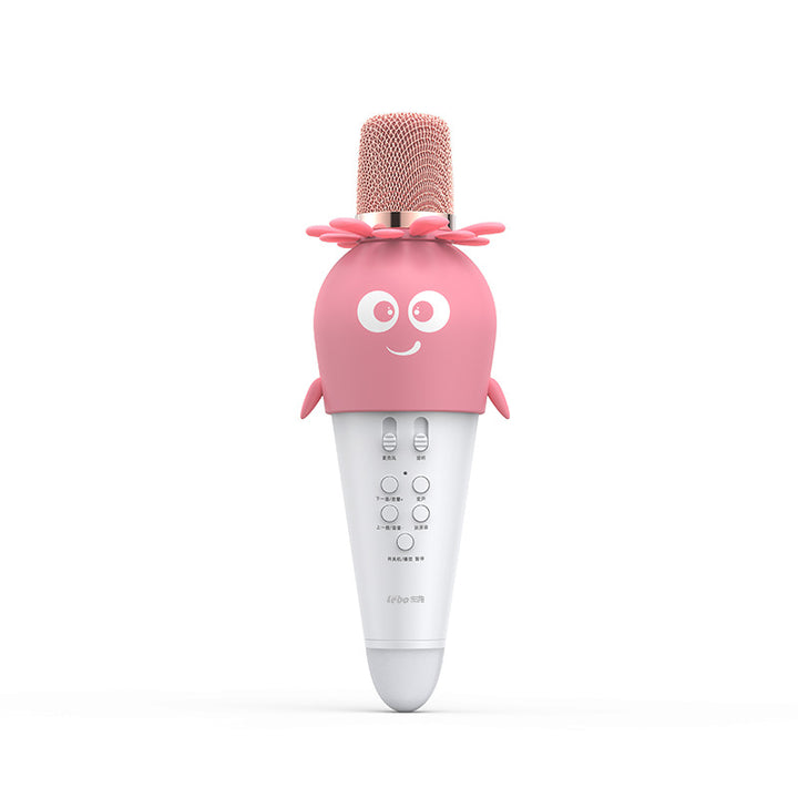 Children's Fun Karaoke Microphone Kalsten