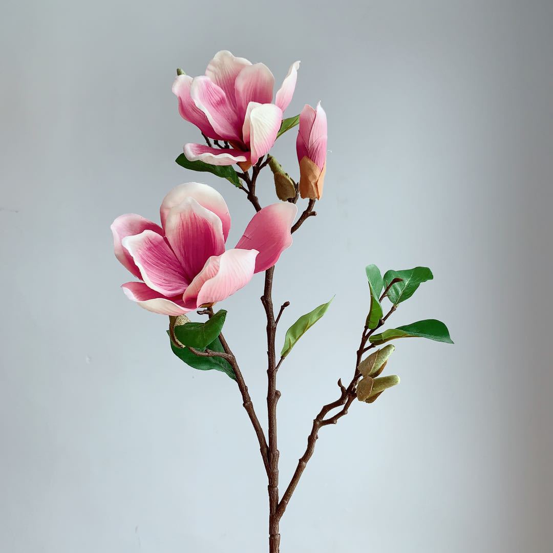 Realistic Magnolia Blossom Stem