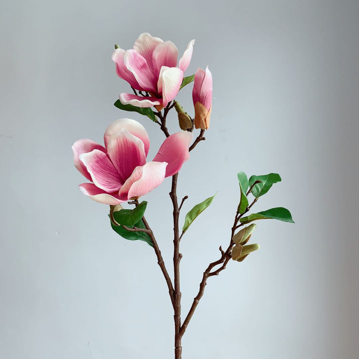 Realistic Magnolia Blossom Stem
