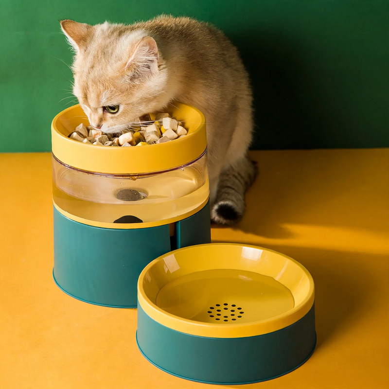 Double bowl for cats, non-slip, food and water