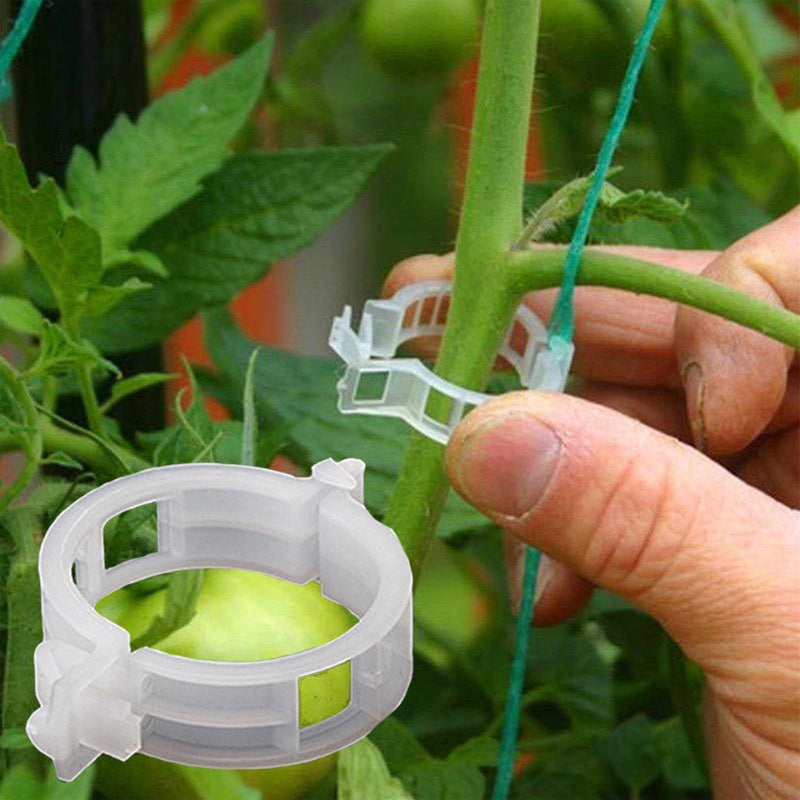 Plant support clips | Kalsten