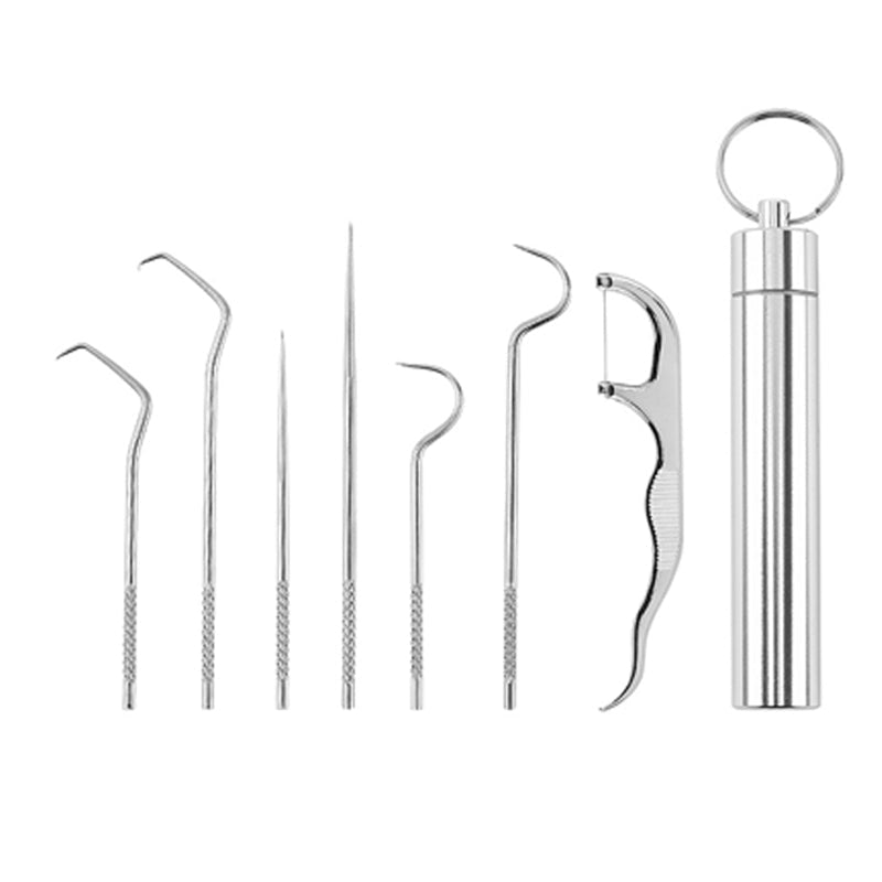 Stainless Steel Toothpick Set (7 pieces) | Kalsten