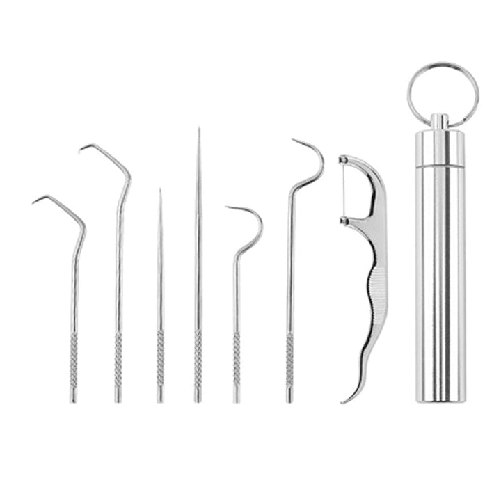 Stainless Steel Toothpick Set (7 pieces) | Kalsten