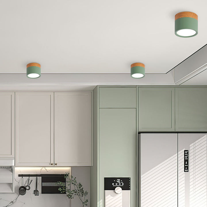 Modern Cylinder LED Flush Mount Ceiling Lamp Kalsten
