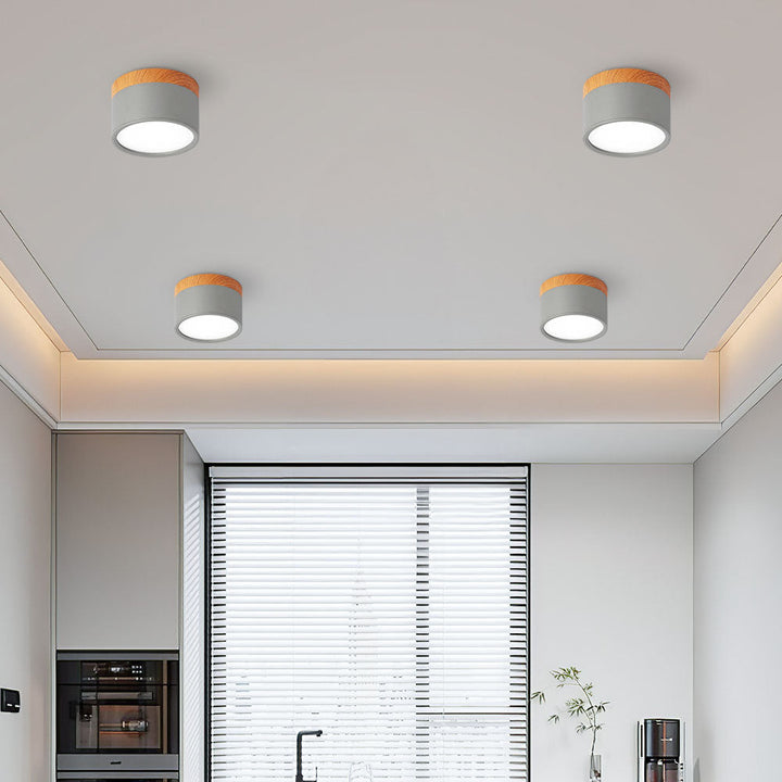 Kalsten | LED Ceiling Light Modern Flush Mount Cylinder