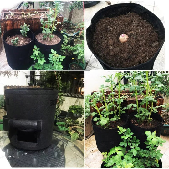GrowMaster Pro — More power for your plants, so your harvest will amaze everyone! | Kalsten
