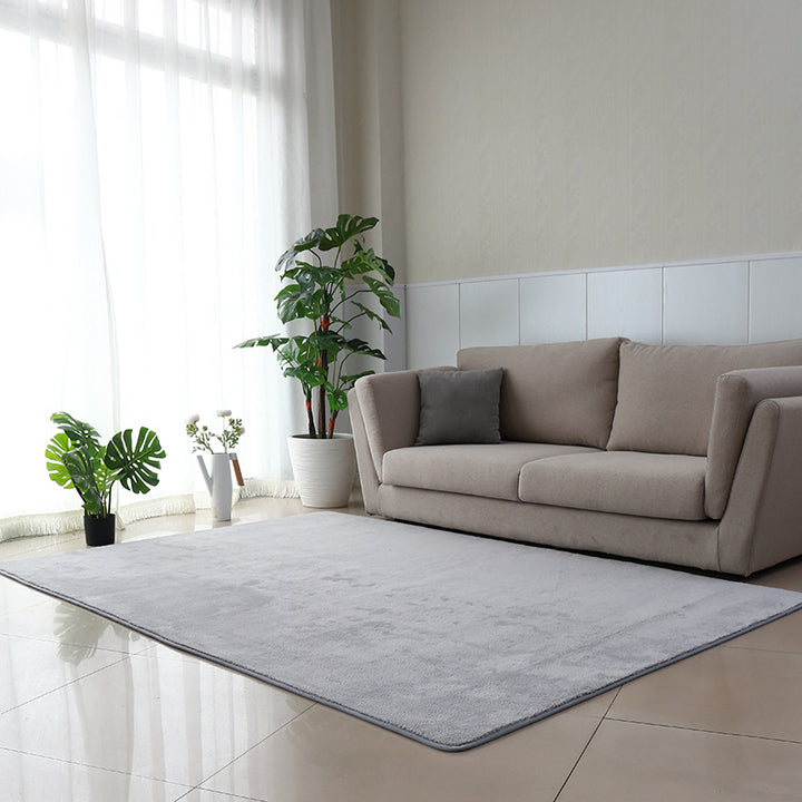 Soft Plush Living Room Rug