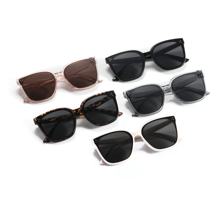 Women's fashionable sunglasses with transparent accent Kalsten