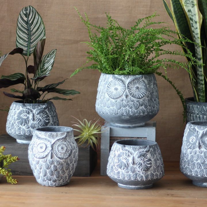 Decorative Owl Ceramic Pot Kalsten