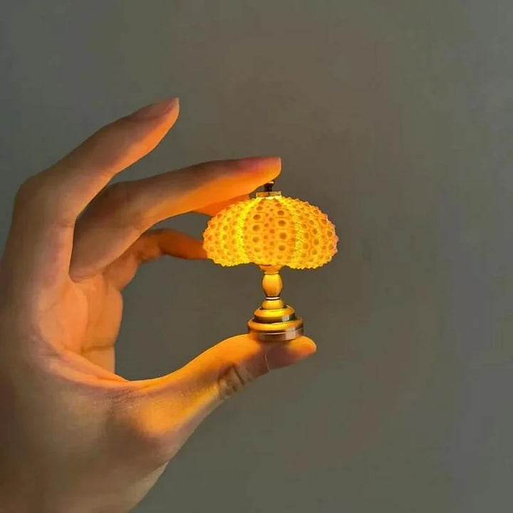LumiCraft – Unique DIY table lamp with natural sea shell for a cozy décor | Kalsten