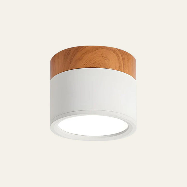 Modern Cylinder LED Flush Mount Ceiling Lamp Kalsten