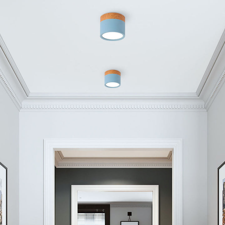 Modern Cylinder LED Flush Mount Ceiling Lamp Kalsten