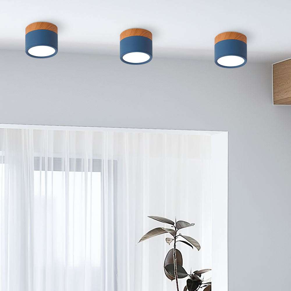 Kalsten | LED Ceiling Light Modern Flush Mount Cylinder