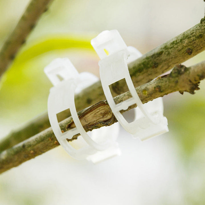 Practical Plant Support Clip | Kalsten