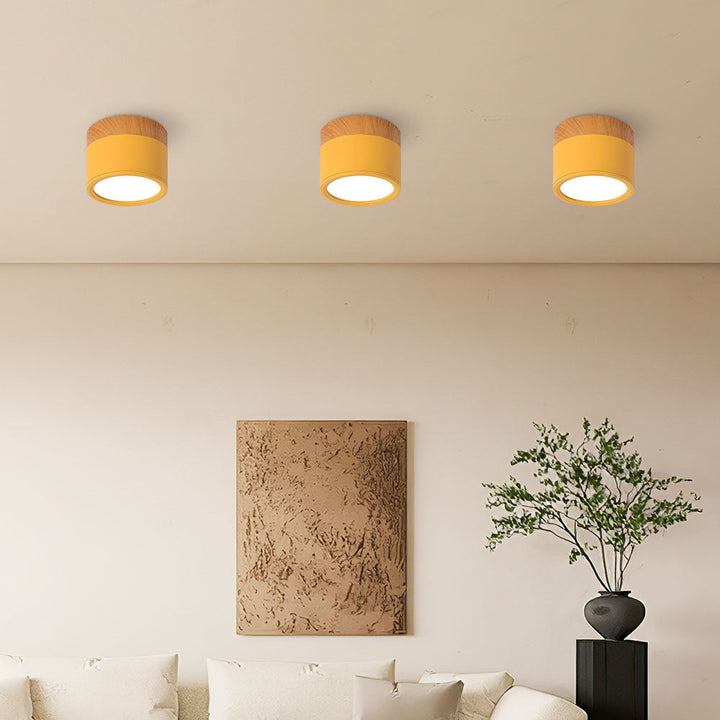 Modern Cylinder LED Flush Mount Ceiling Lamp Kalsten