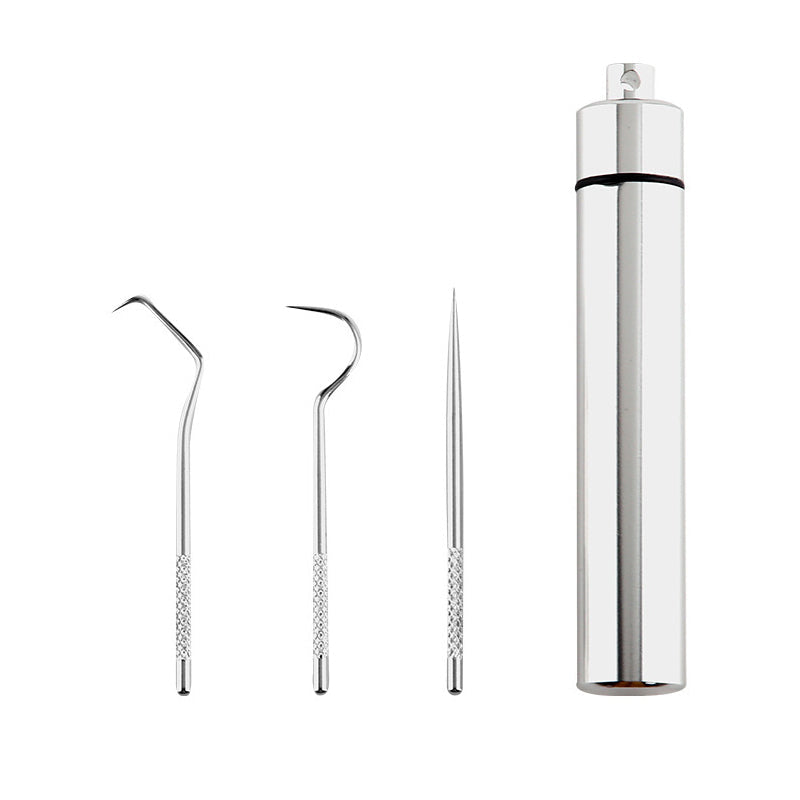 Stainless Steel Toothpick Set (7 pieces) | Kalsten