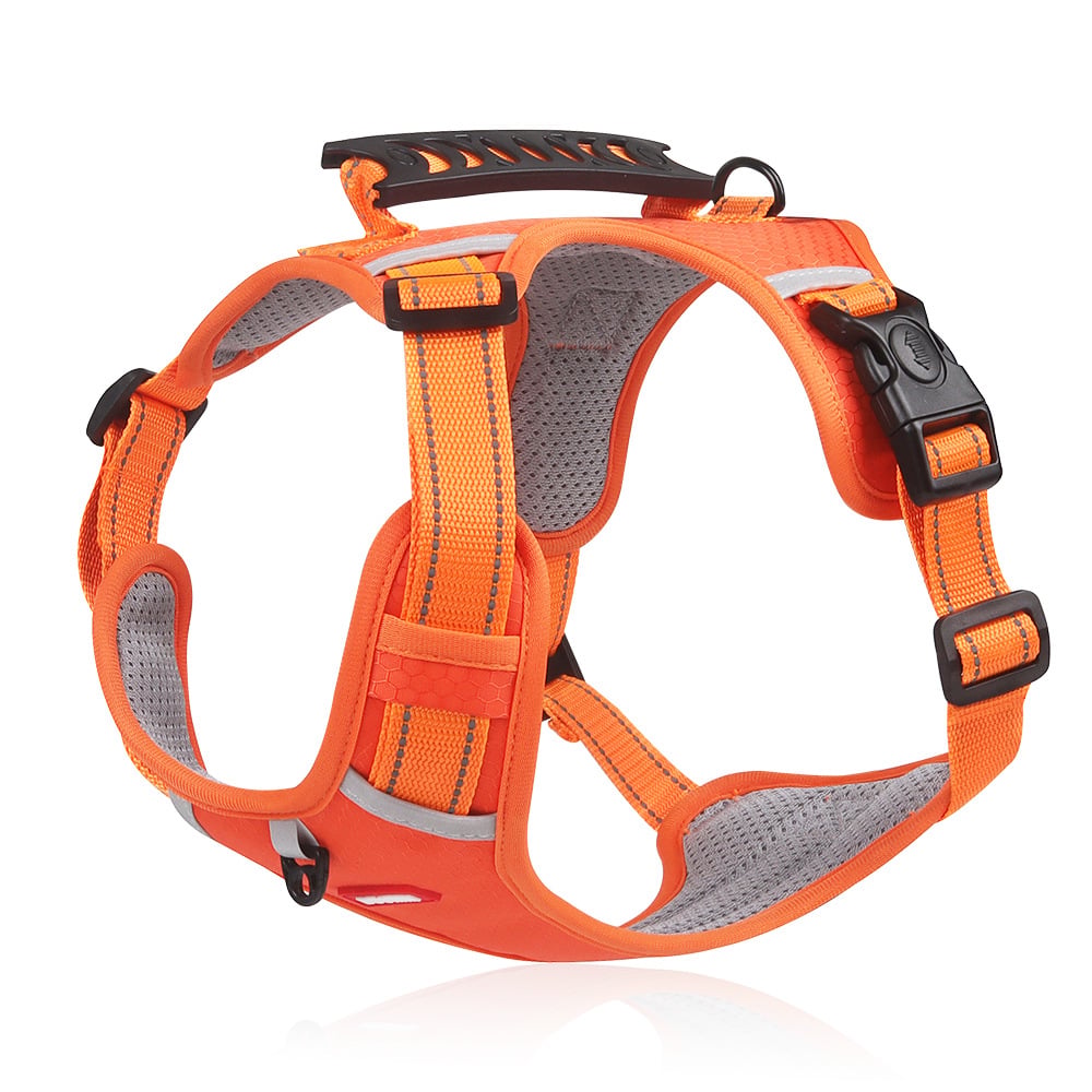 HappyHund Safety Harness Reflective | Kalsten